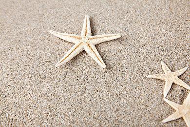 《斯普拉遁3》正在制作升级档 将修复开场黑屏问题